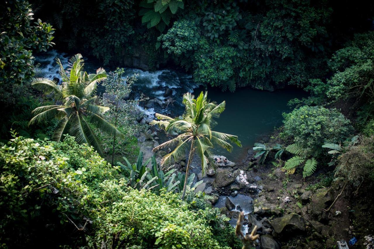 Villa Kalisat Resort Ubud Eksteriør bilde