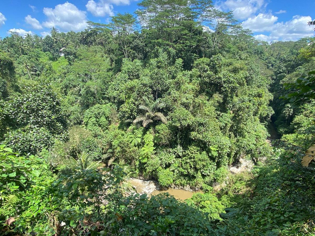 Villa Kalisat Resort Ubud Eksteriør bilde