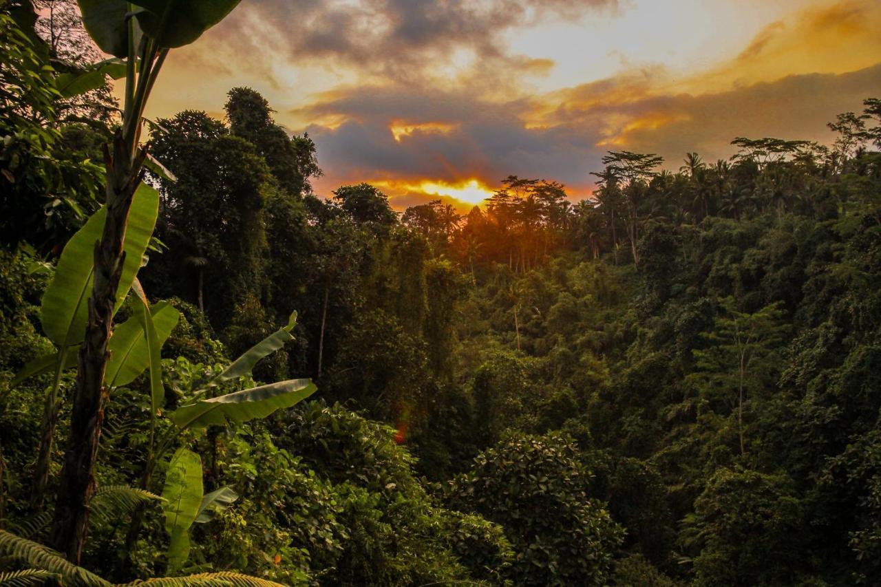 Villa Kalisat Resort Ubud Eksteriør bilde